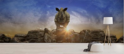 nosorozec-o-zachodzie-slonca