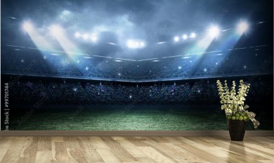 Fototapeta Stadion piłkarski z mocnym oświetleniem