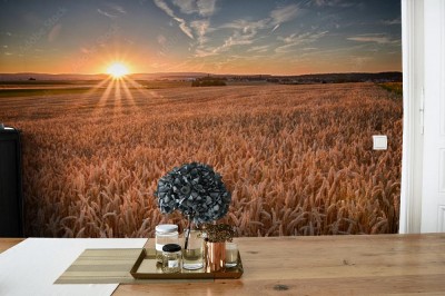 Fototapeta Zachód słońca na polu pszenicy