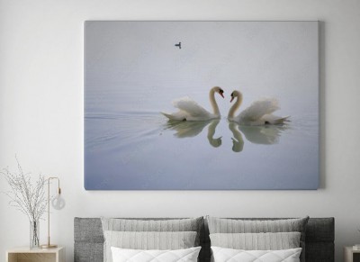 Obraz na płótnie do sypialni z dwoma pięknymi łabędziami