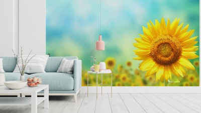 Fototapeta Słoneczniki na zamazanym pogodnym tle