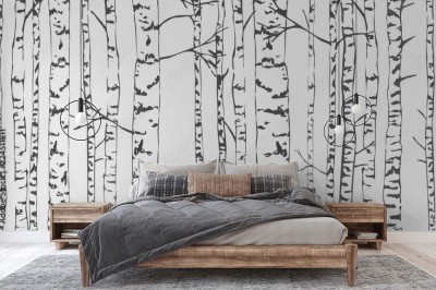 Fototapeta Szkic brzozy