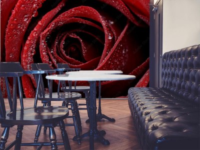 Fototapeta Zbliżenie czerwonej mokrej róży