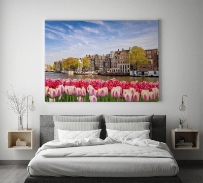 tulipanowy-horyzont-w-amsterdamie