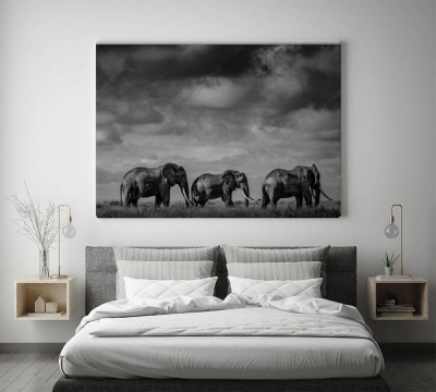 wielkie-slonie-w-mrocznej-scenerii