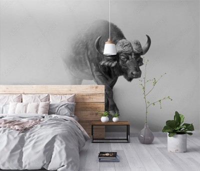 Fototapeta Bawół we mgle