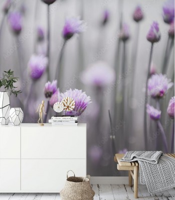 Fototapeta Kwitnący szczypiorek