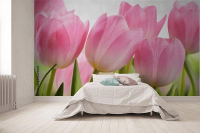 Fototapeta Świeże kwiaty tulipanów