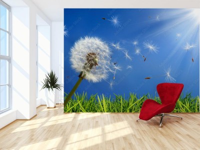 Fototapeta Wiosenna trawa i dmuchawiec