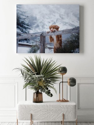 Obraz na płótnie Retriever w zimowych górach