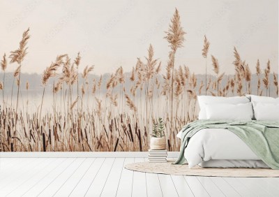 Fototapeta do sypialni - Brzeg jeziora z trawą