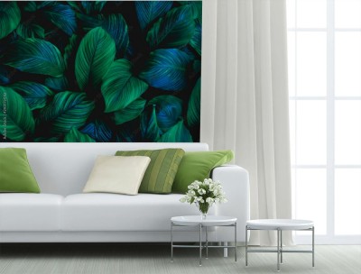 Fototapeta Mroczne liście