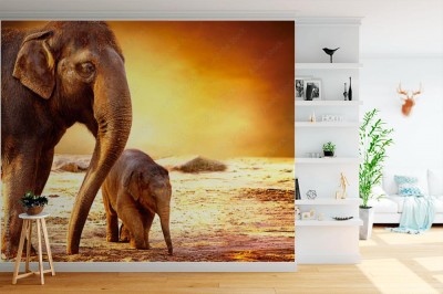 Fototapeta Słoń i słoniątko