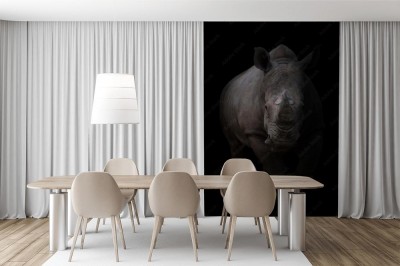 Fototapeta Biały nosorożec na ciemnym tle