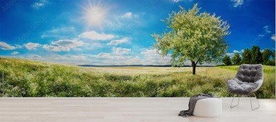 Fototapeta Szeroka łąka na wiosnę, z kwitnącym drzewem, niebieskim niebem i słońcem