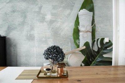 Fototapeta Tło do Spa z elementami do pielęgnacji ciała na jasnym tle 