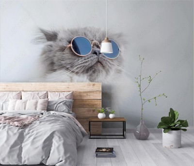 Fototapeta zabawny portret kota w okularach przeciwsłonecznych
