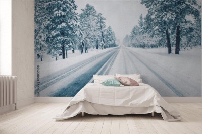 Fototapeta Zimowa droga pokryta lodem