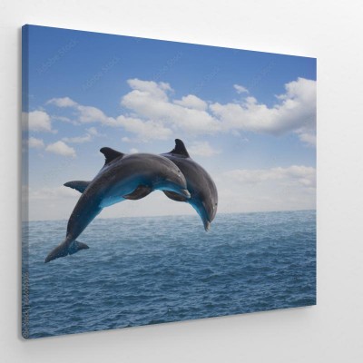 dwa-skaczace-delfiny