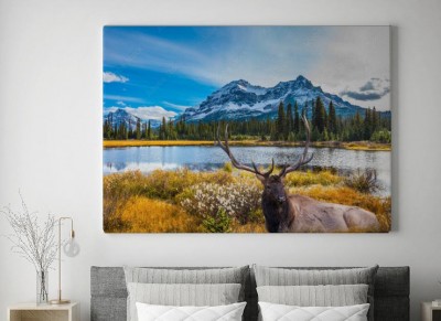 Obraz na płótnie Jeleń nad jeziorem na tle gór