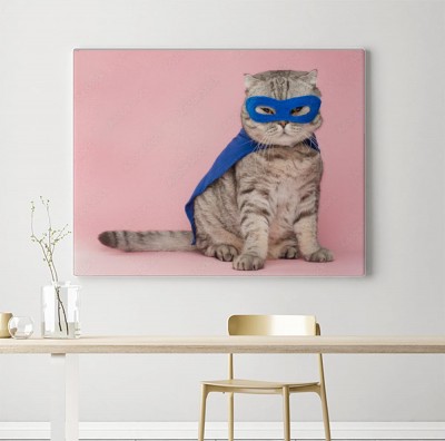 Obraz na płótnie Kot superbohater