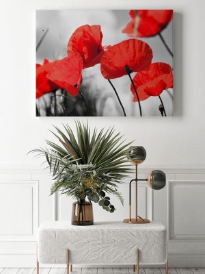 Obraz na płótnie Żabia perspektywa czerwonych maków na czarno-białym tle