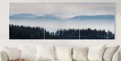 Obraz na płótnie Ciemny las na tle mgły