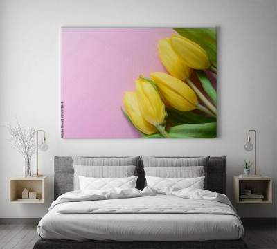 zolte-tulipany-na-rozowym-tle