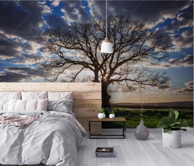 Fototapeta Drzewo przed burzą