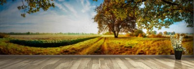 Fototapeta Panoramiczny jesienny krajobraz z polami i drzewami