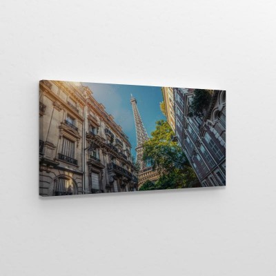 paryska-ulica-z-widokiem-na-slynna-wieze-eiffla-w-zabiej-perspektywie