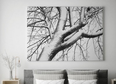 Obraz na płótnie Pokryte śniegiem Drzewo w Czerni I Bieli