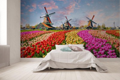 Fototapeta Krajobraz z tulipanami w Zaanse Schans