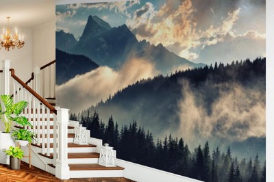 Fototapeta Mgła w lesie i górach