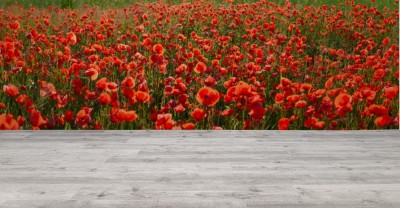 Fototapeta Panorama pól maku