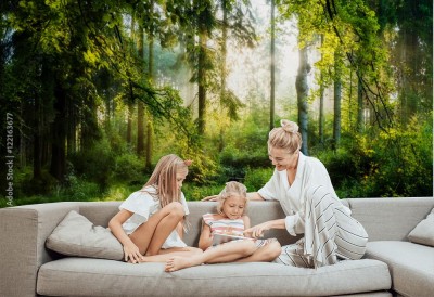 Fototapeta Wschód słońca w lesie jesienią