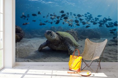 Fototapeta Żółw na dnie