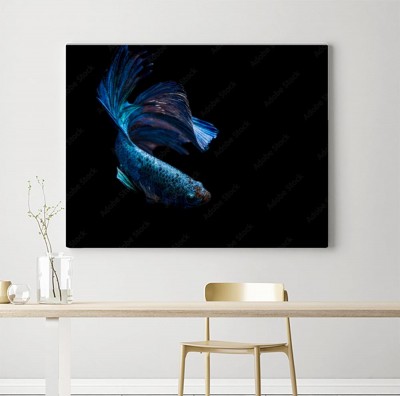 Obraz na płótnie Błękitna ryba na czarnym tle
