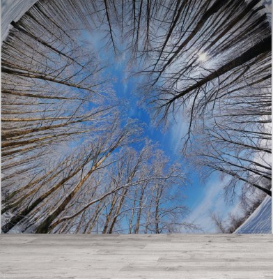 Fototapeta Panorama zimowego lasu
