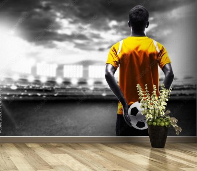Fototapeta Piłka nożna