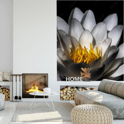 Fototapeta Duży piękny biały lotos