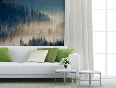 Fototapeta Gęsta, świecąca mgła wśród świerkowego lasu w dolinie