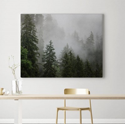 Obraz na płótnie Góra i las we mgle