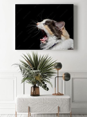 Obraz na płótnie Portret kota perkalu
