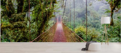 most-w-dzungli-kostaryka