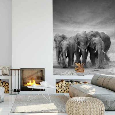 Fototapeta Słonie w galopie