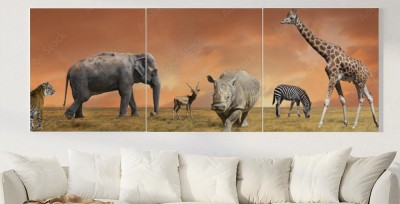 Obrazy do salonu Kolekcja dzikich zwierząt sawanny
