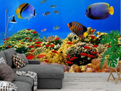 Fototapeta dla miłośników akwarium