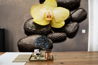 Fototapeta Koncepcja spa  Kwiat orchidei i kamienie