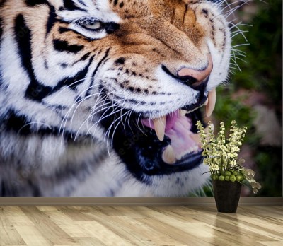 Fototapeta Ryk tygrysa